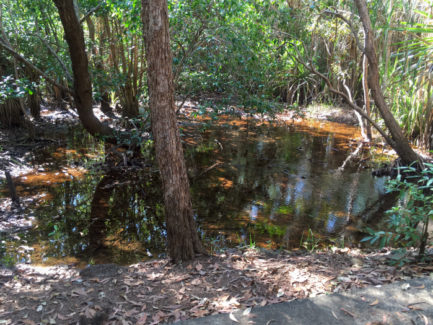 Natural waterway feeding in from the Elizabeth River