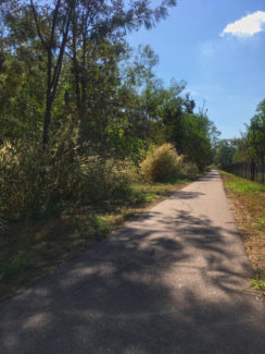 Bitumen cycle and walking paths border the 14.38ha conservation area