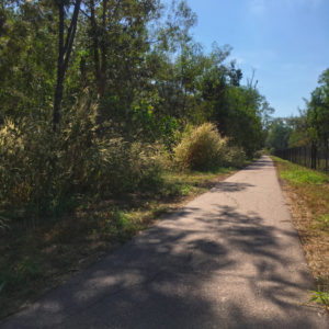 Bitumen cycle and walking paths border the 14.38ha conservation area