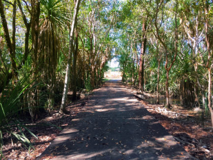 A natural creek runs through the estate