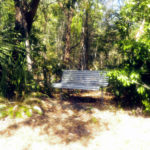 Park bench in the conservation corridor