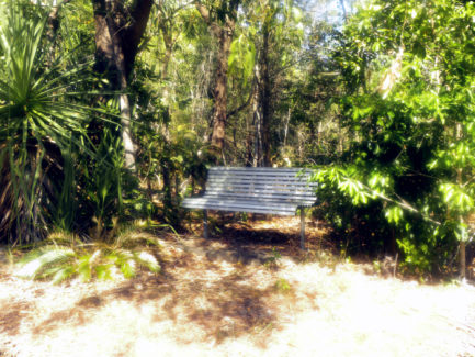 Park bench in the conservation corridor